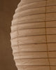 Louis Test Product (95F)